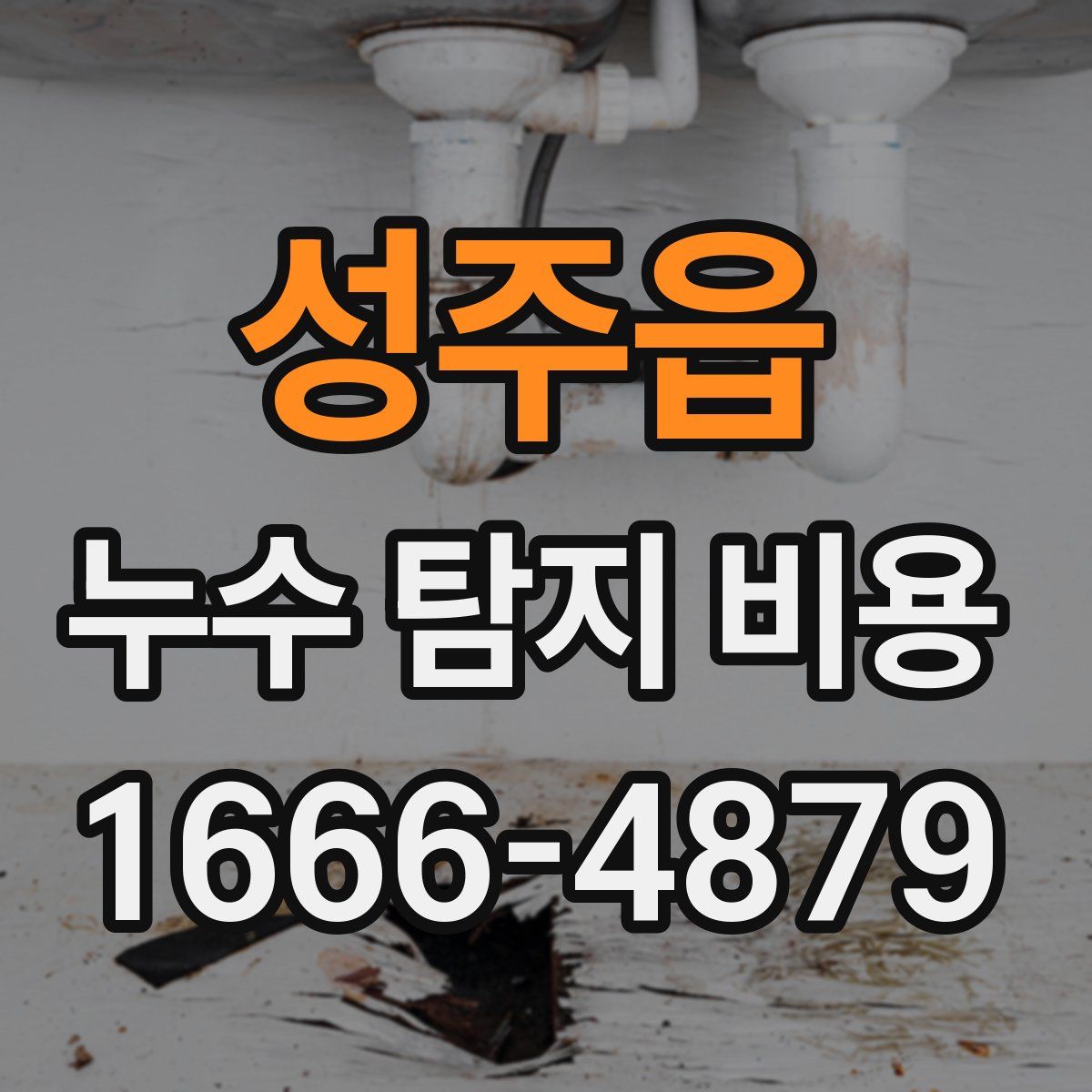 성주읍 누수 탐지 비용