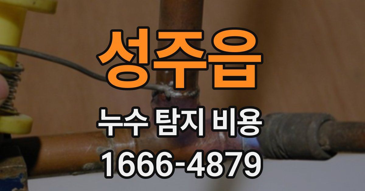 성주읍 누수 탐지 비용