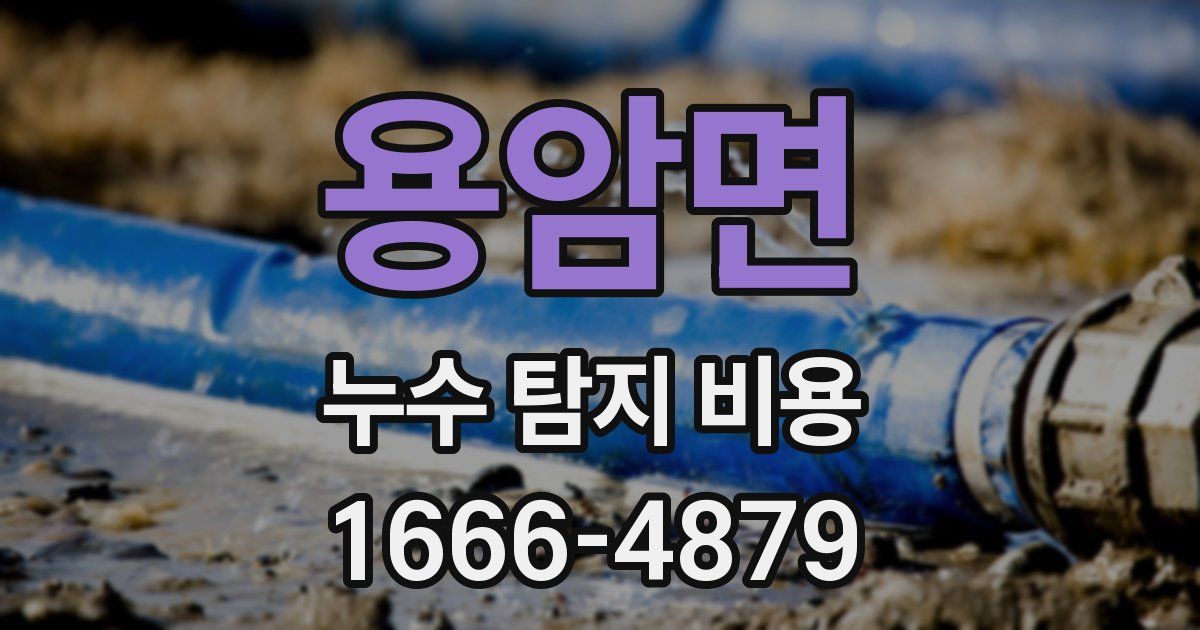 용암면 누수 탐지 비용