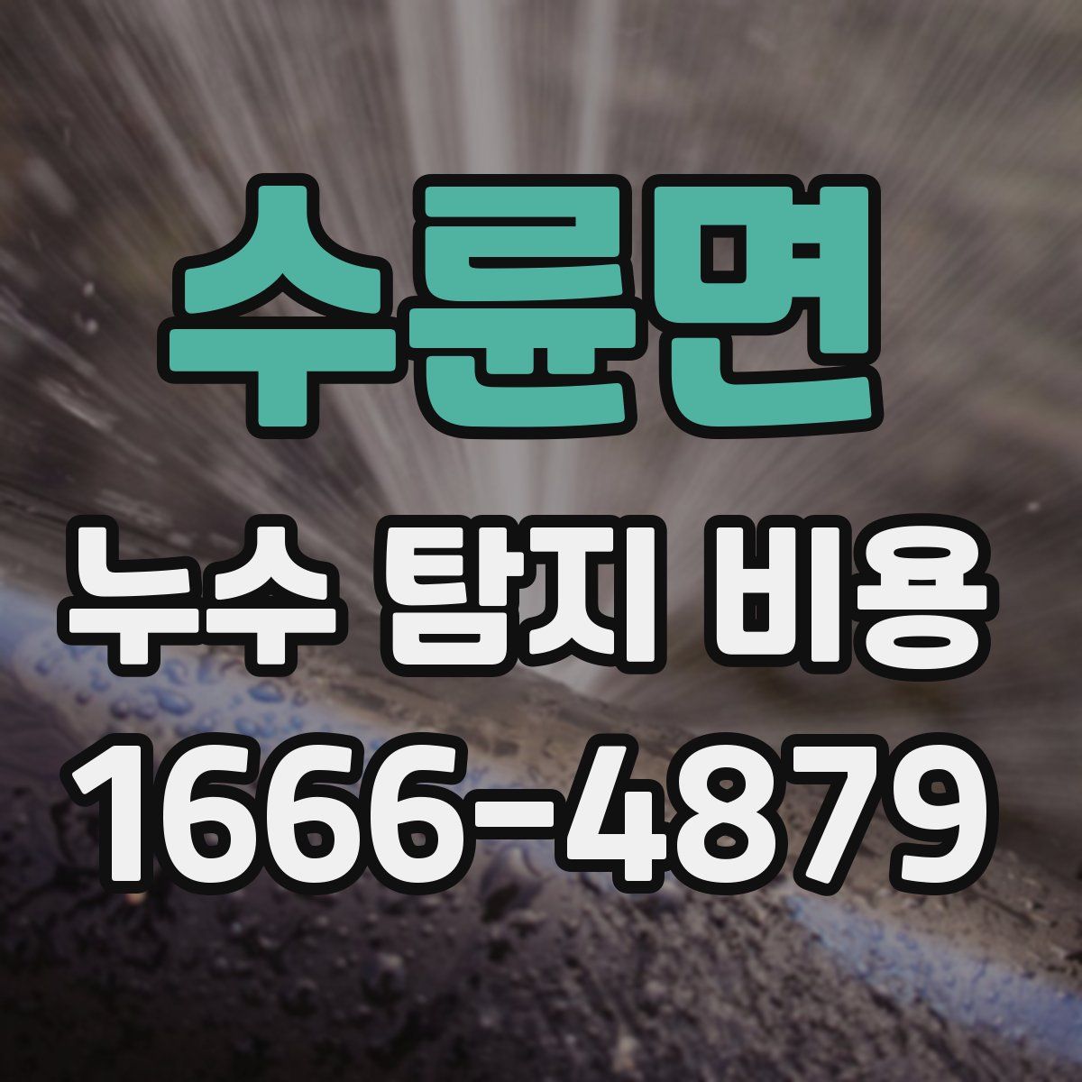 수륜면 누수 탐지 비용