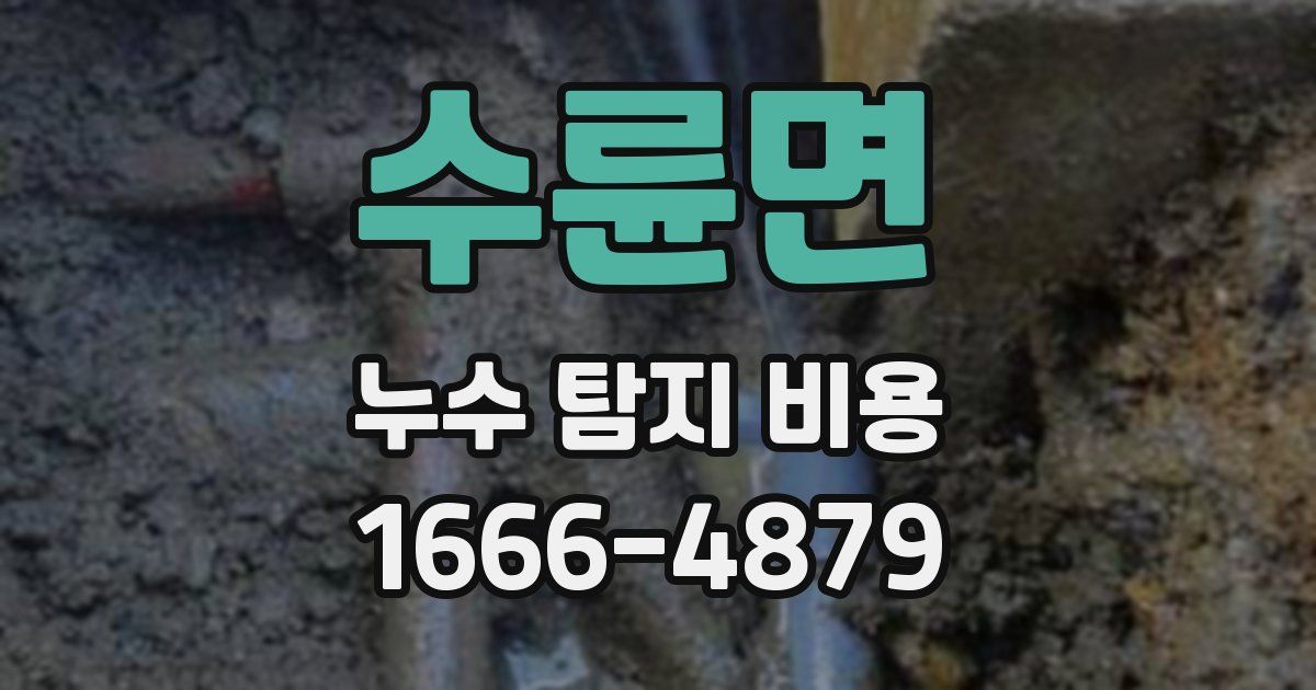 수륜면 누수 탐지 비용