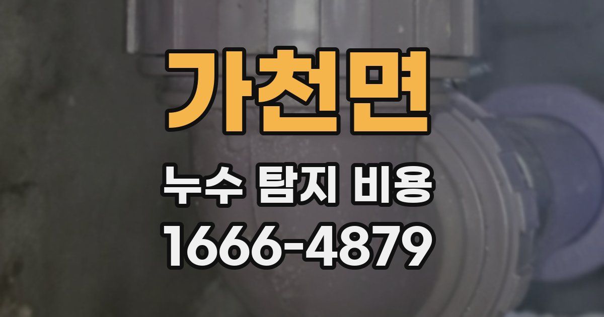 가천면 누수 탐지 비용