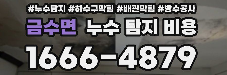 금수면 누수 탐지 비용