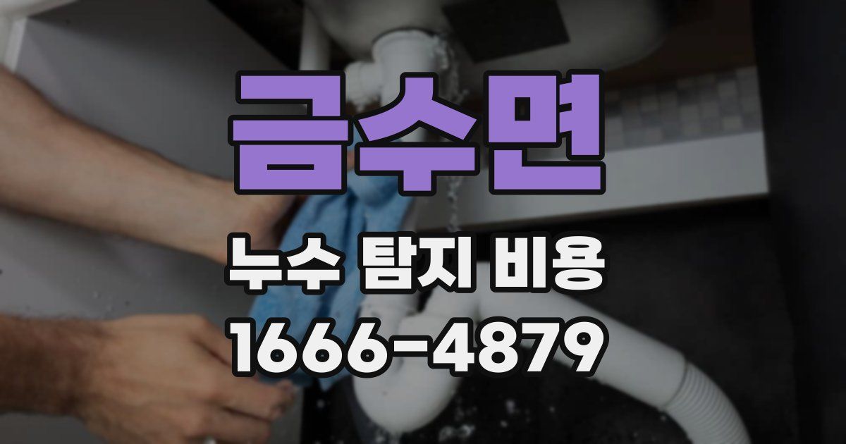금수면 누수 탐지 비용