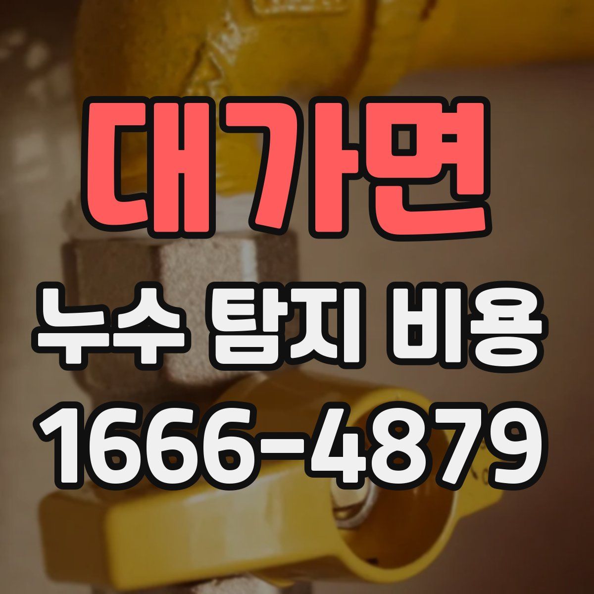 대가면 누수 탐지 비용