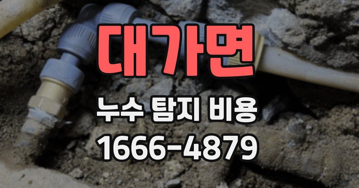 대가면 누수 탐지 비용