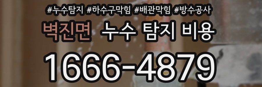 벽진면 누수 탐지 비용