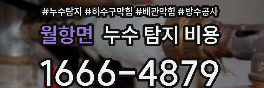 월항면 누수 탐지 비용