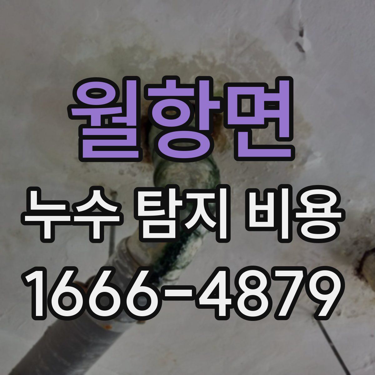 월항면 누수 탐지 비용