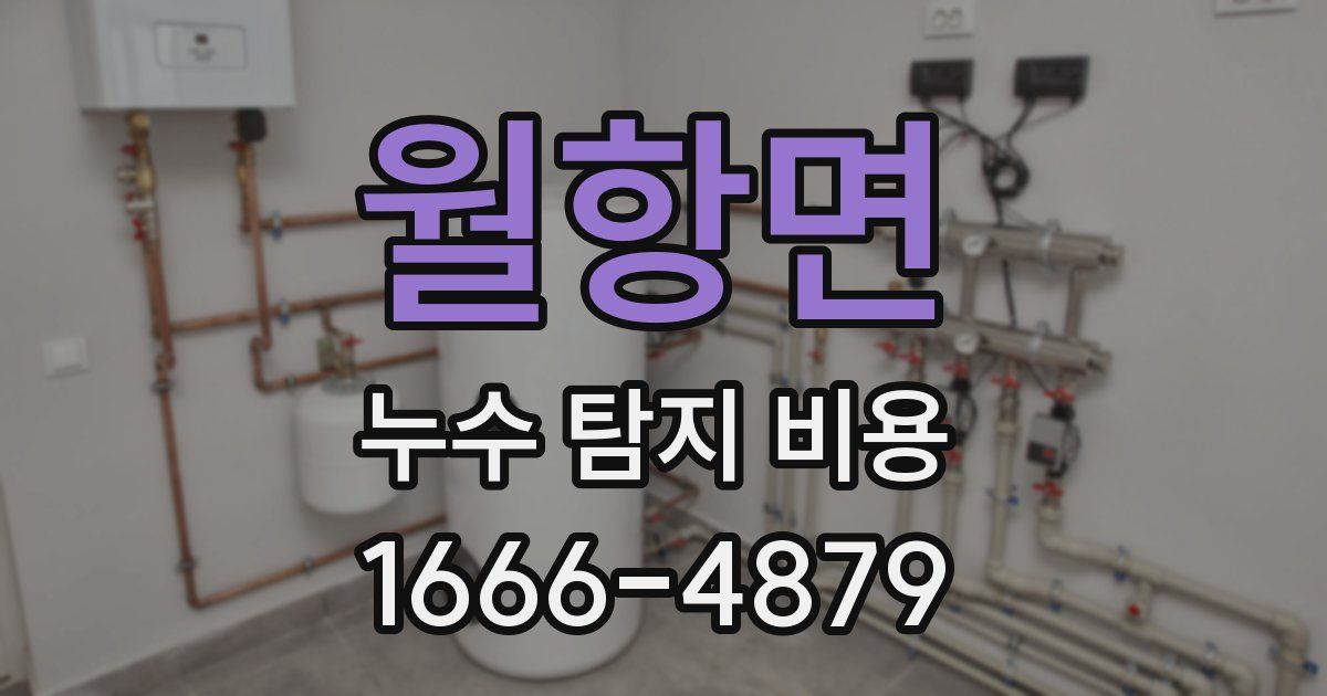 월항면 누수 탐지 비용
