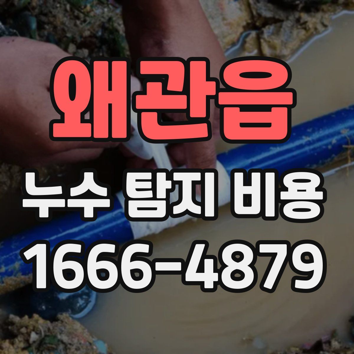 왜관읍 누수 탐지 비용