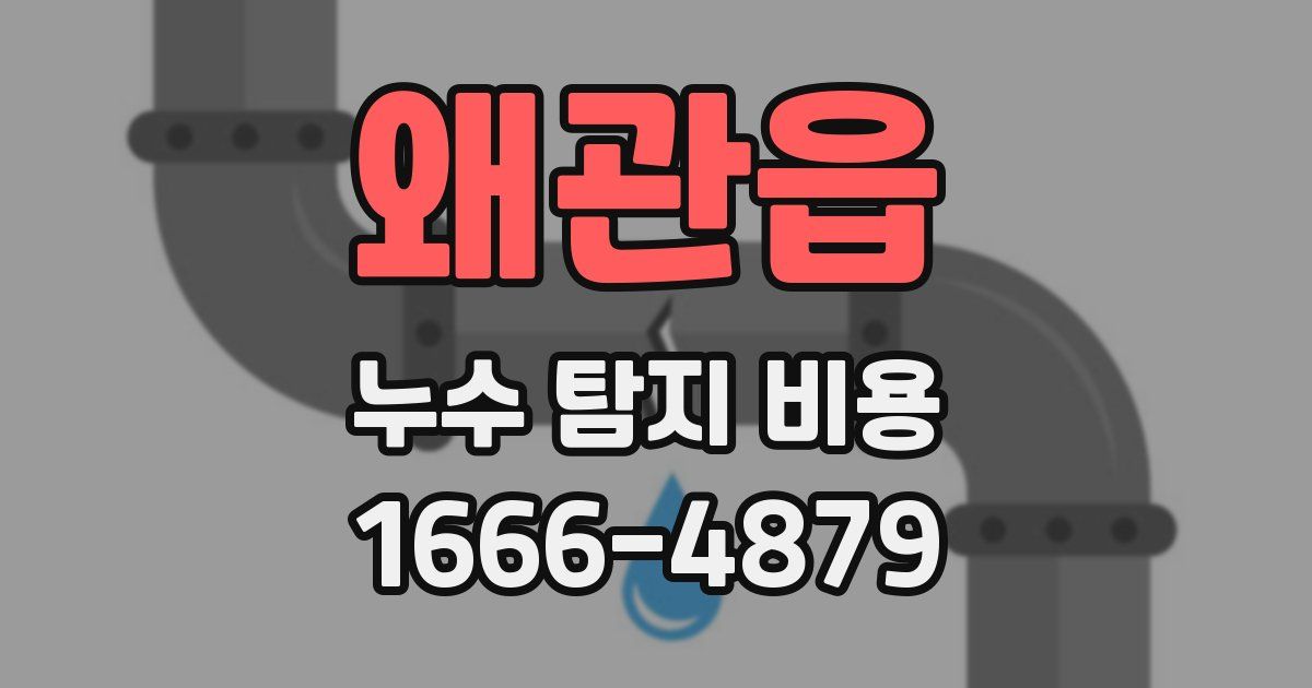 왜관읍 누수 탐지 비용
