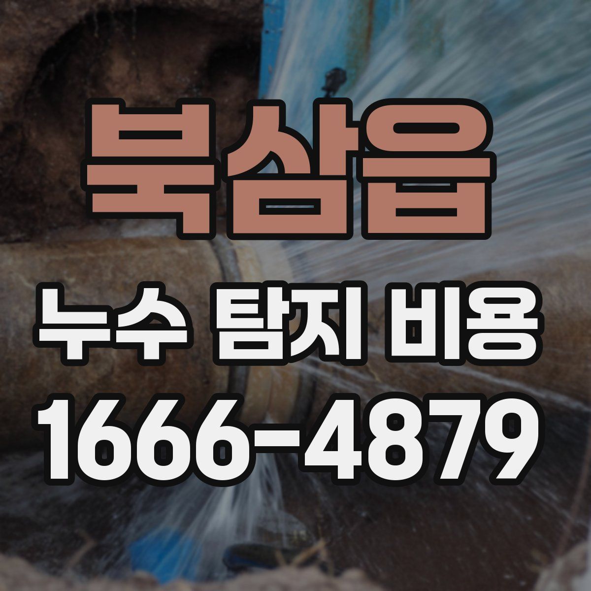북삼읍 누수 탐지 비용