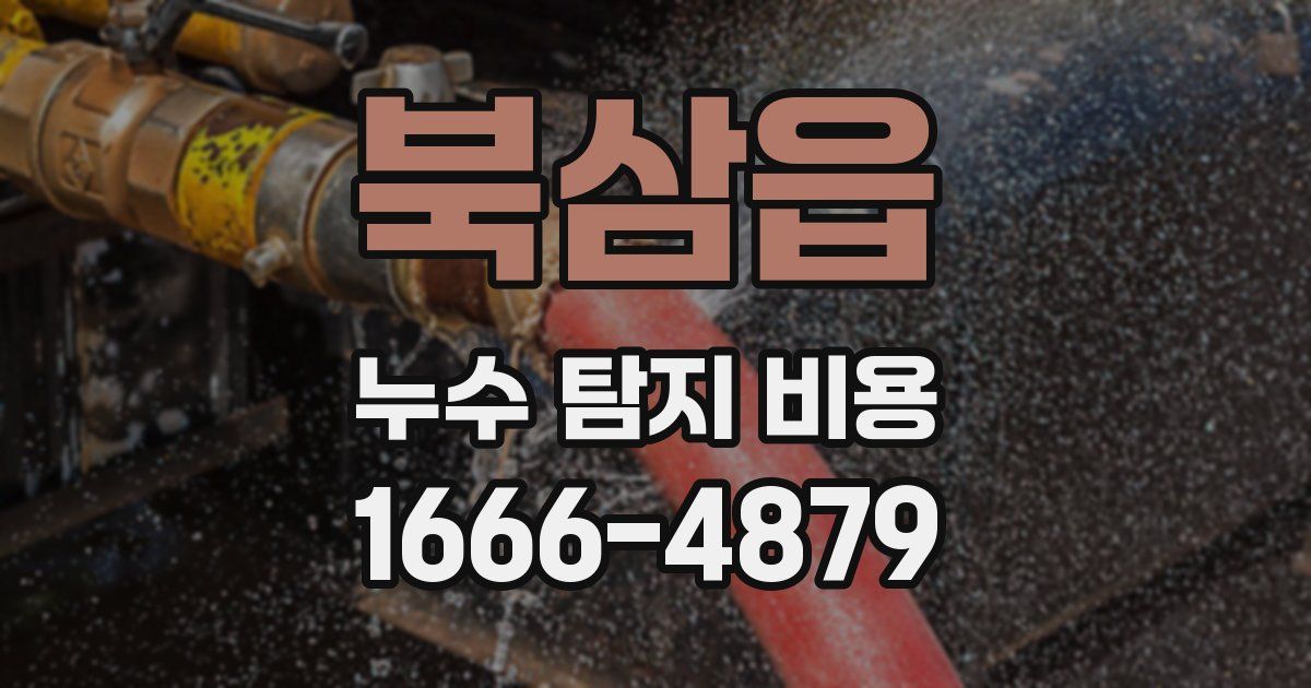 북삼읍 누수 탐지 비용