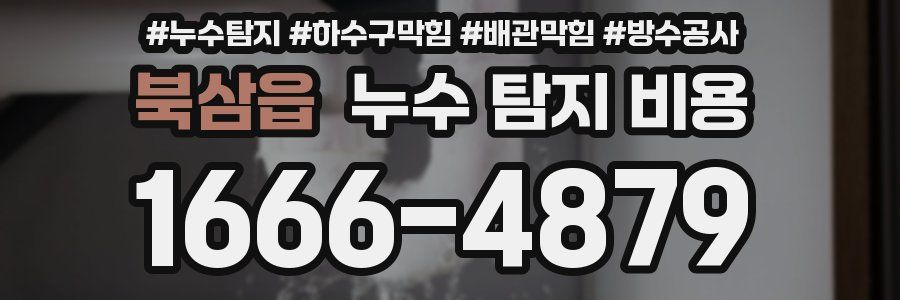 북삼읍 누수 탐지 비용