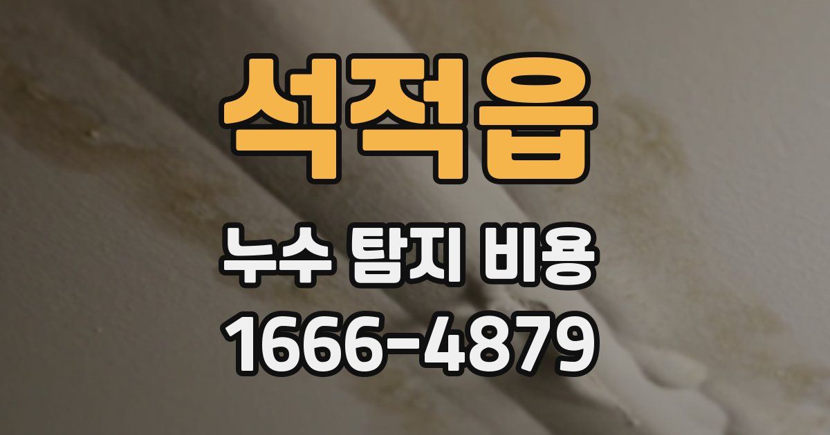 석적읍 누수 탐지 비용