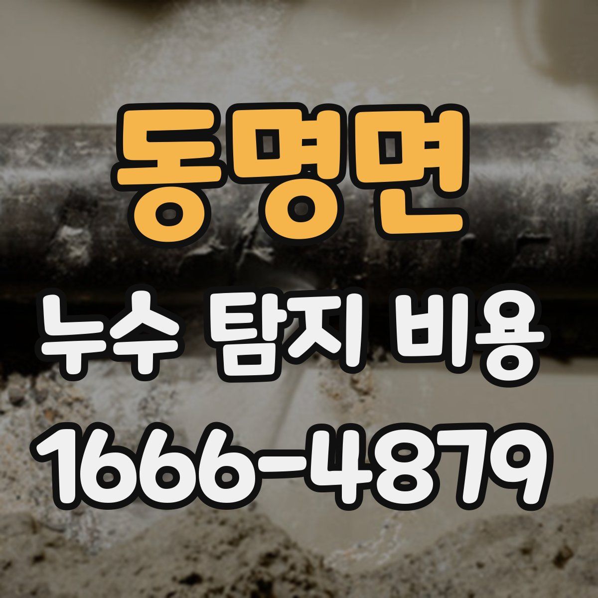 동명면 누수 탐지 비용