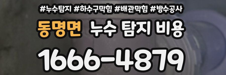 동명면 누수 탐지 비용