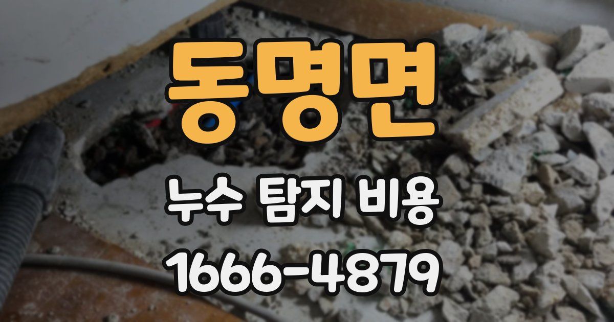 동명면 누수 탐지 비용