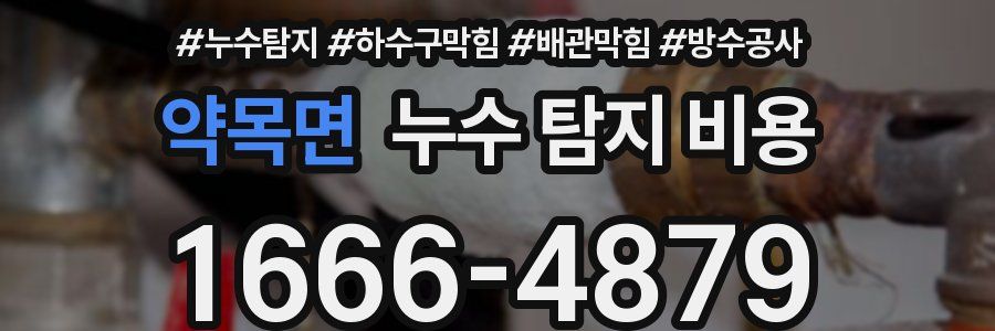 약목면 누수 탐지 비용