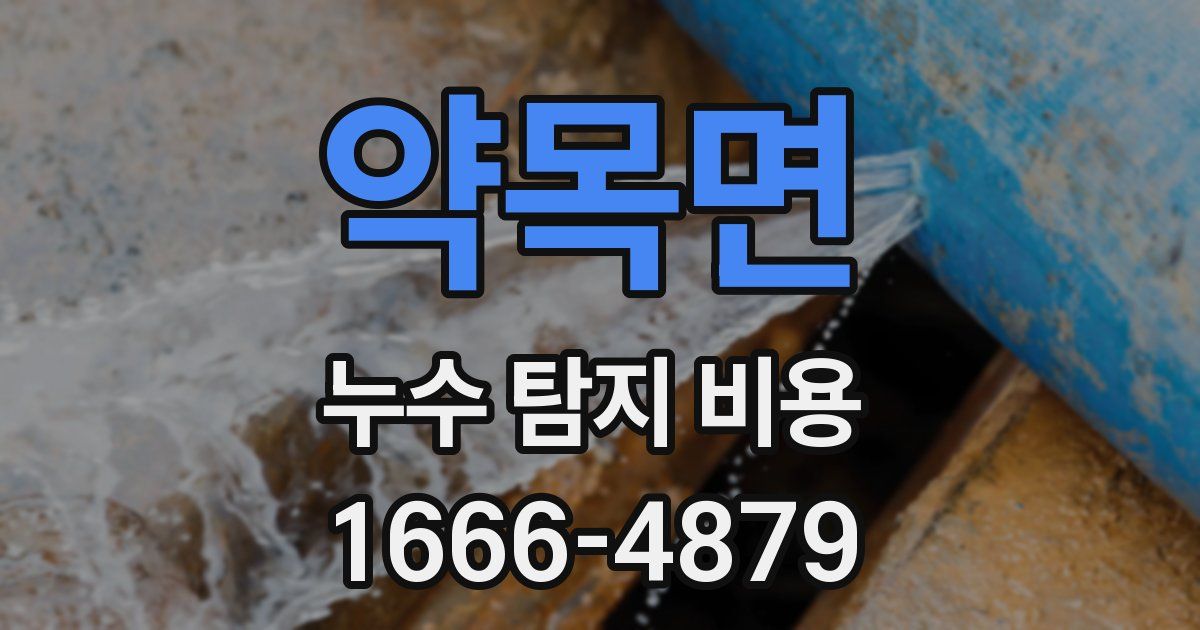 약목면 누수 탐지 비용