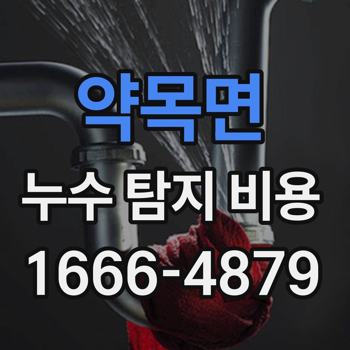 약목면 누수 탐지 비용
