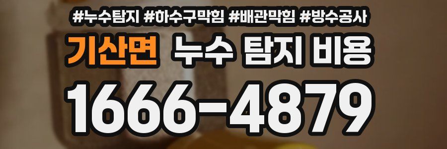 기산면 누수 탐지 비용