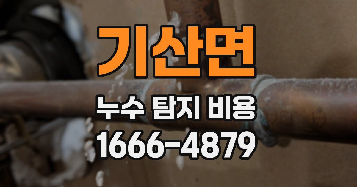 기산면 누수 탐지 비용