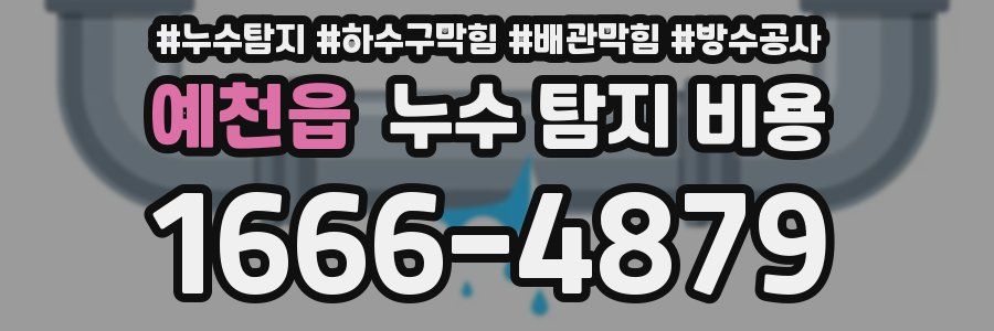 예천읍 누수 탐지 비용