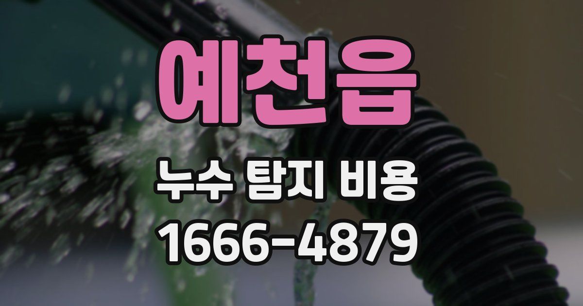 예천읍 누수 탐지 비용