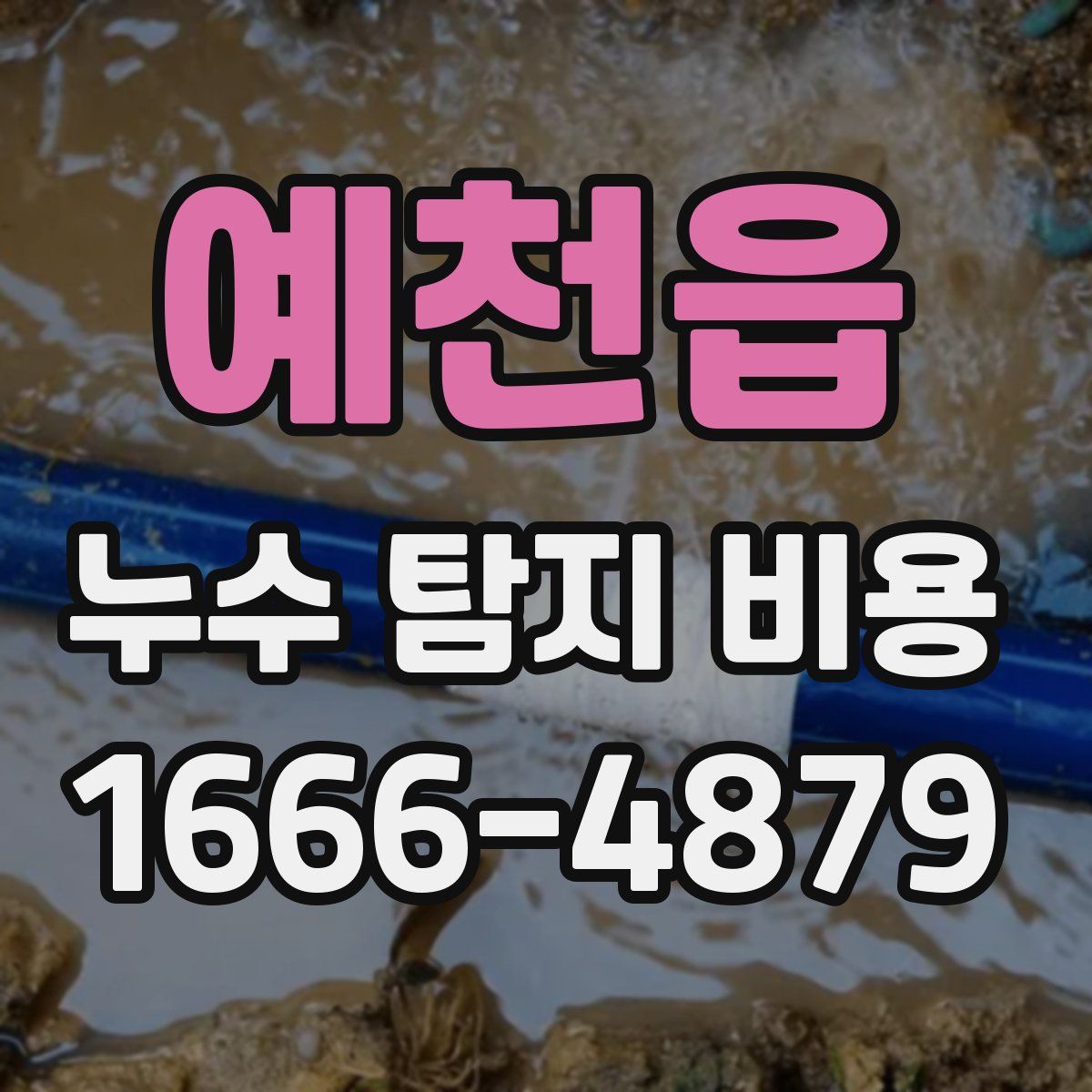 예천읍 누수 탐지 비용