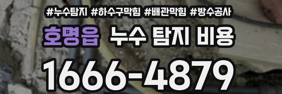 호명읍 누수 탐지 비용