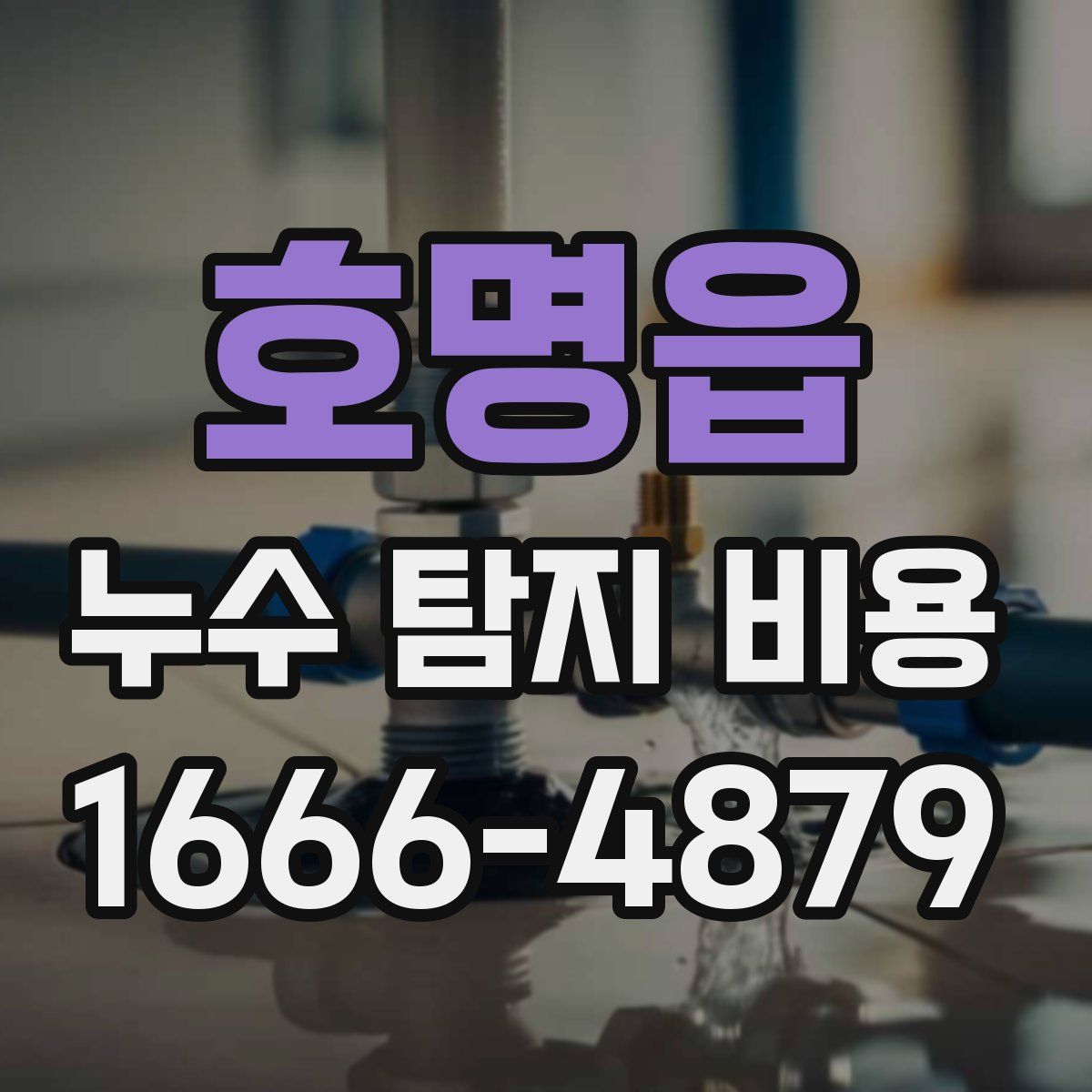 호명읍 누수 탐지 비용