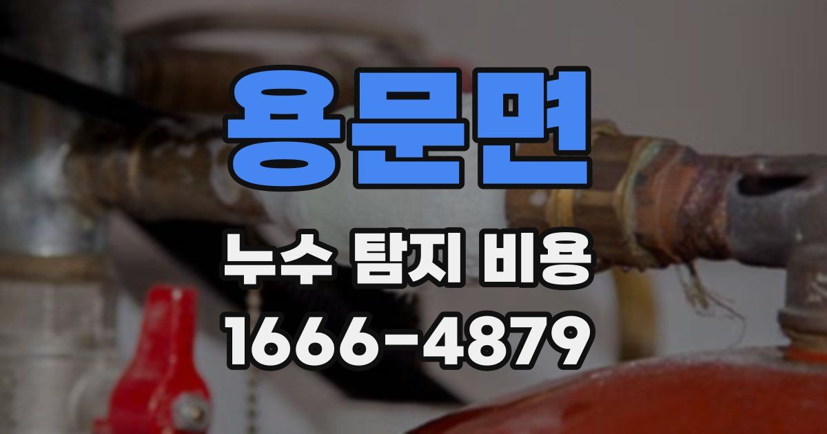 용문면 누수 탐지 비용