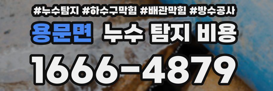 용문면 누수 탐지 비용