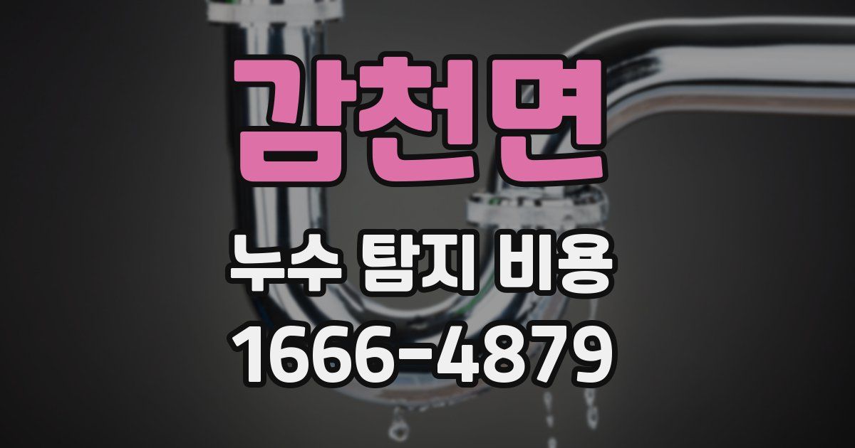 감천면 누수 탐지 비용