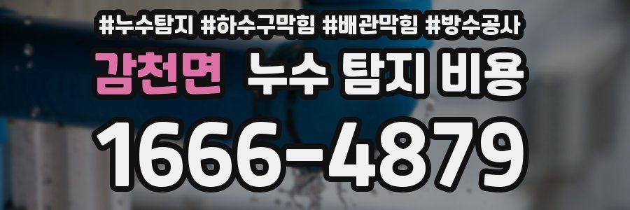 감천면 누수 탐지 비용