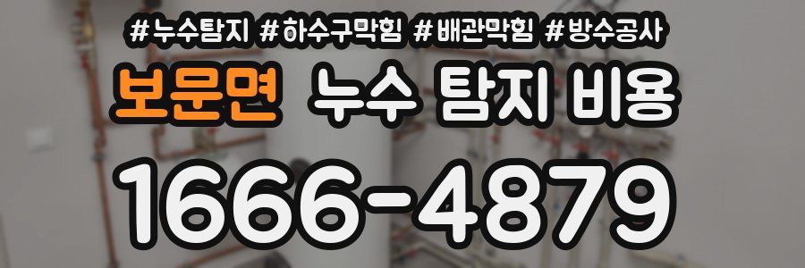 보문면 누수 탐지 비용