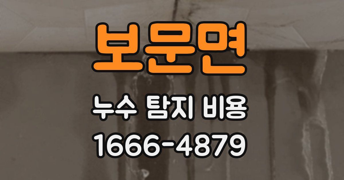 보문면 누수 탐지 비용