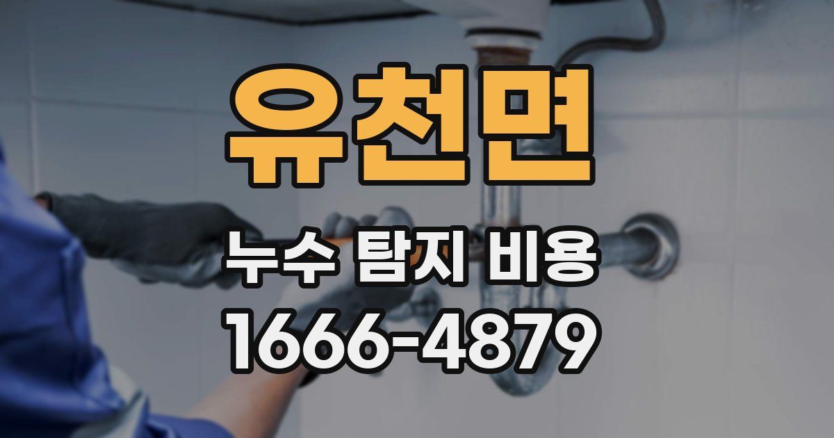 유천면 누수 탐지 비용