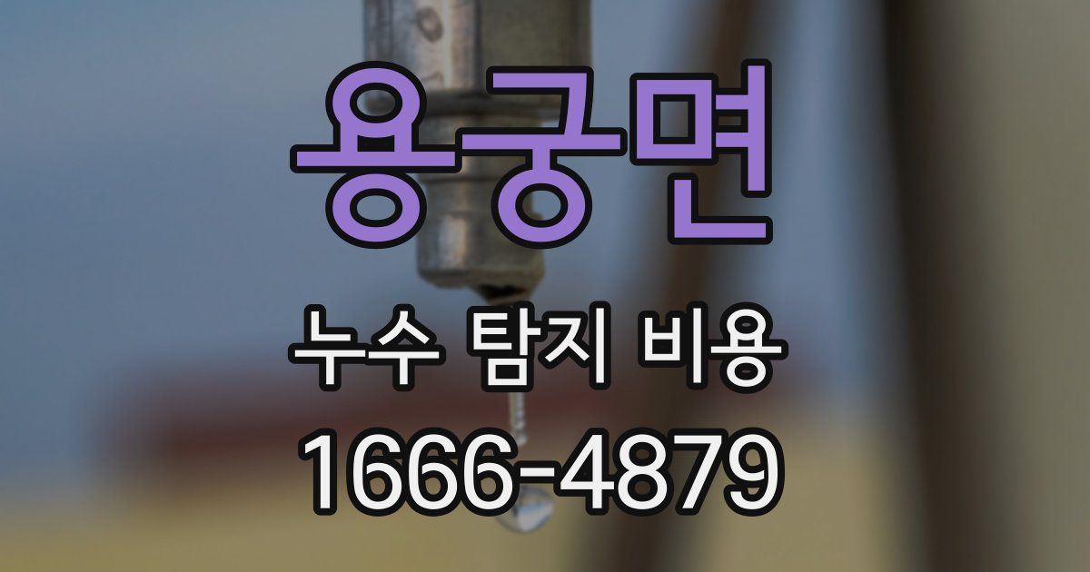 용궁면 누수 탐지 비용