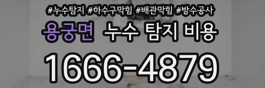 용궁면 누수 탐지 비용