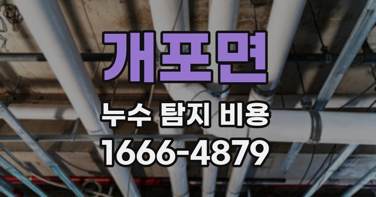 개포면 누수 탐지 비용