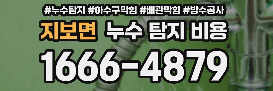 지보면 누수 탐지 비용