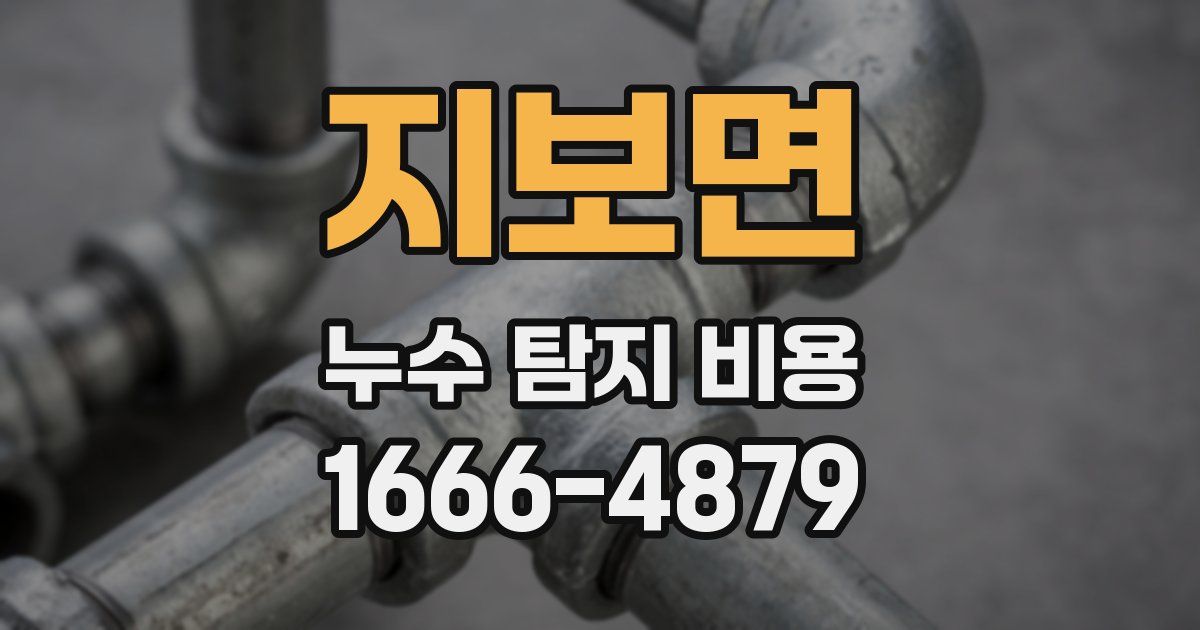 지보면 누수 탐지 비용