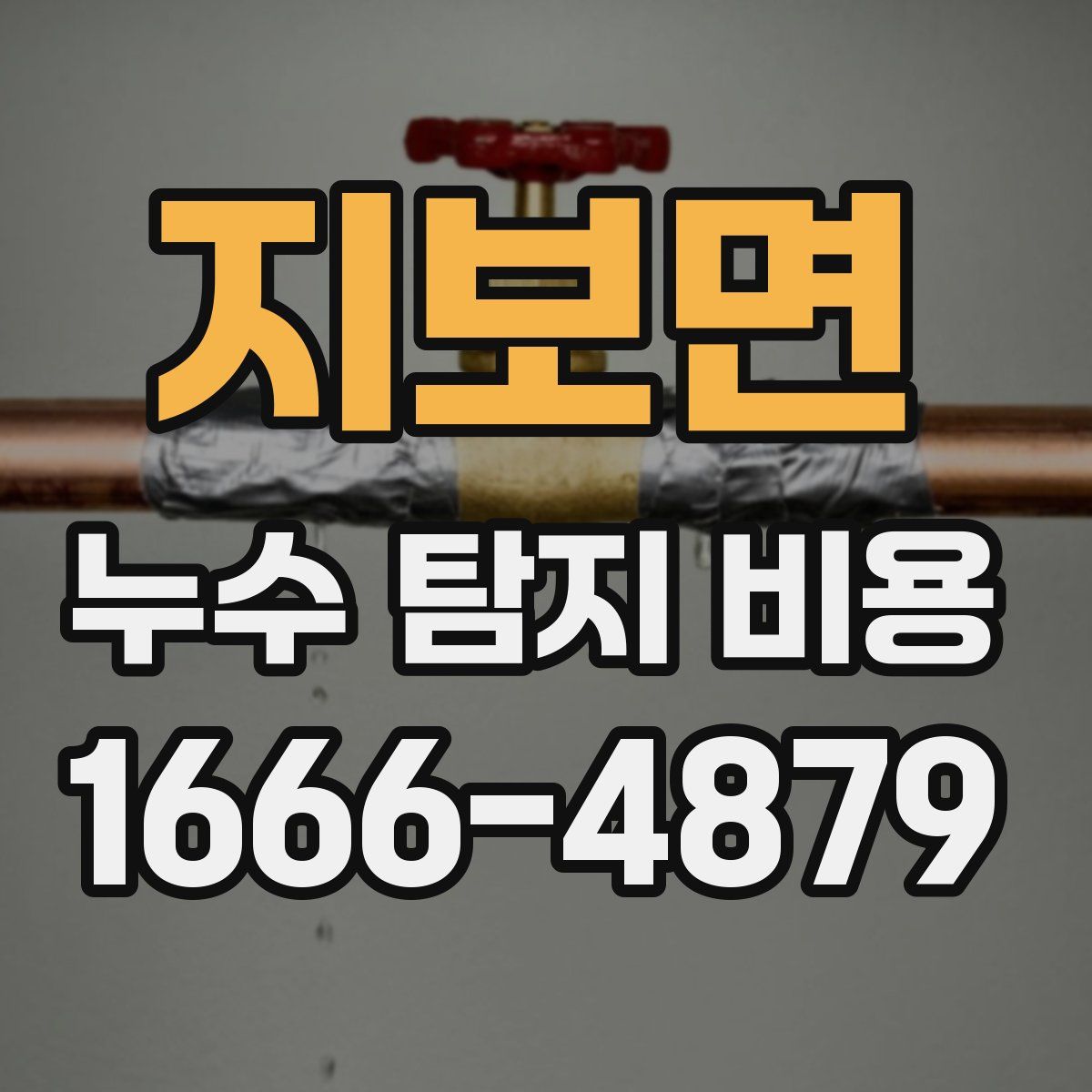 지보면 누수 탐지 비용