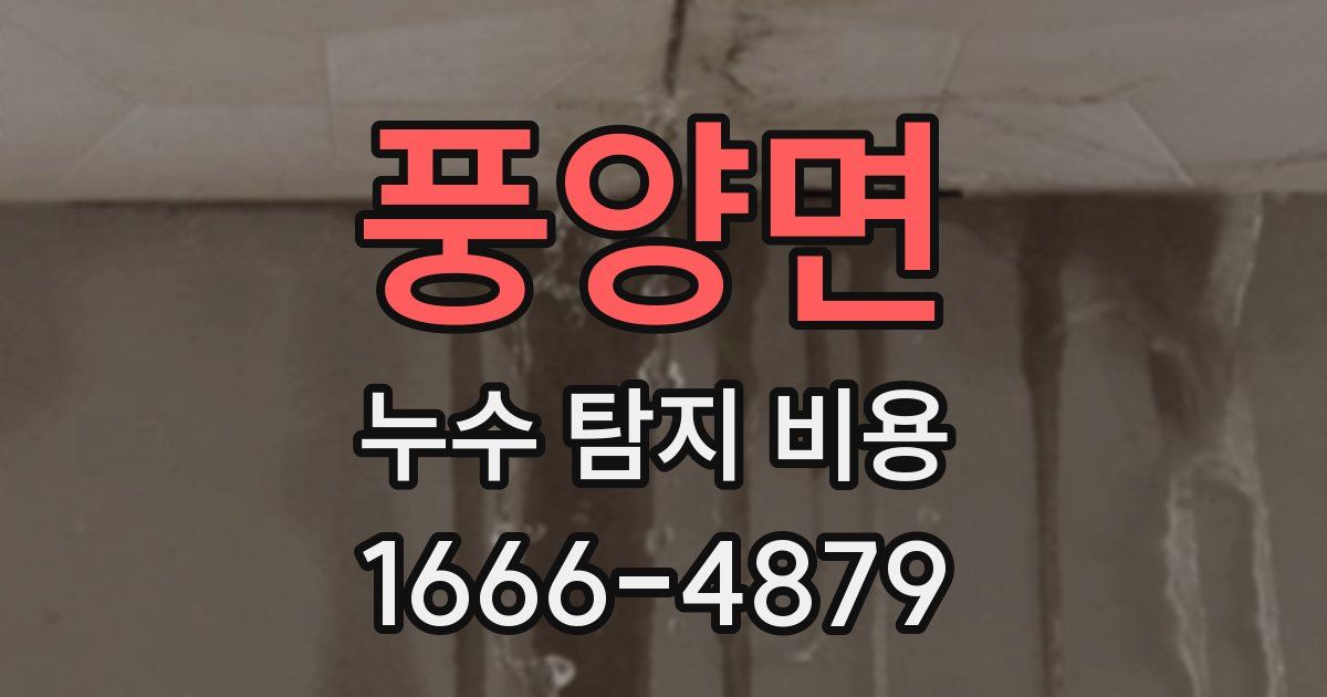 풍양면 누수 탐지 비용