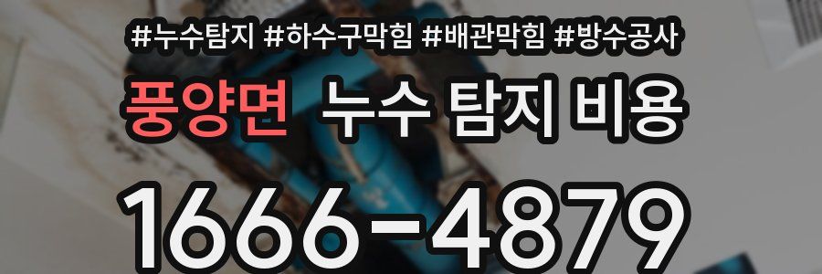 풍양면 누수 탐지 비용