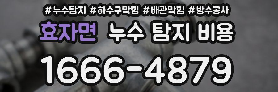 효자면 누수 탐지 비용