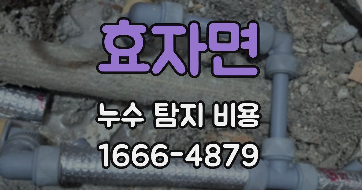 효자면 누수 탐지 비용